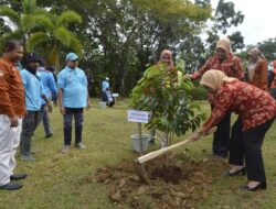 Pemkot Baubau Rencanakan Bangun Kebun Raya di Samparona