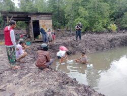 Budidaya Udang Vaname di Desa Lanobake Muna, 40 Ribu Benih Ditabur Pada Tahap Awal