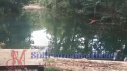 Pohon Besar Tumbang di Area Permandian Mata Air Fotuno Rete Wakumoro, Tak Ada Korban Jiwa