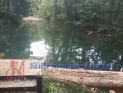 Pohon Besar Tumbang di Area Permandian Mata Air Fotuno Rete Wakumoro, Tak Ada Korban Jiwa