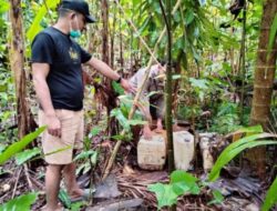 Operasi Pekat Anoa 2025, Polisi Amankan Ratusan Liter Miras Tradisional di Buton
