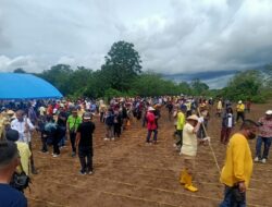 Pencanangan Gerakan Tanam Jagung di Muna, Bupati Bachrun: Dukung Ketahanan Pangan dan Tingkatkan Kesejahteraan Masyarakat