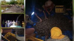 Sejarah Baru Tercipta di Desa Lanobake Muna, Bisnis Potensial Hingga Masyarakat Antusias Hadiri Panen Perdana Udang Vaname