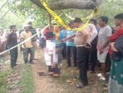 Pria Lansia di Kontumere Muna Ditemukan Gantung Diri di Pohon Jambu Mete
